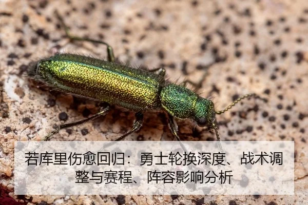 ruo-ku-li-shang-yu-hui-gui-yong-shi-lun-huan-shen-du-zhan-shu-tiao-zheng-yu-sai-cheng-zhen-rong-ying-xiang-fen-xi-2-358.jpg